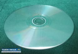 Pathology Screaming Within Cd Unikat - Obrazek 2