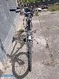 Rower arkus - Obrazek 3