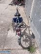 Rower arkus - Obrazek 2