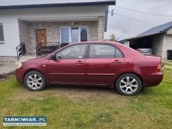 Toyota Corolla - Obrazek 2