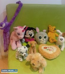 Maskotki pluszaki - Obrazek 3