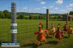 Siatka leśna 150/15/15 rolka 50mb - Obrazek 1