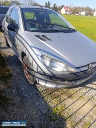 Peugeot 206 1.9d - Obrazek 1