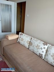 kawalerkę wynajmę - Obrazek 2