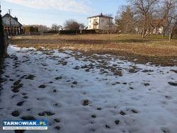 Działka 10 arów , Błonie - Obrazek 3