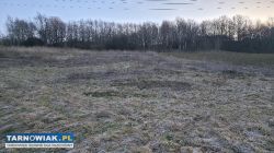 Dom ze Stodołą i Stajną 1.90 ha - Obrazek 4