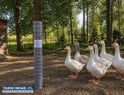 Siatka leśna 150/15/15 rolka 50mb - Obrazek 1