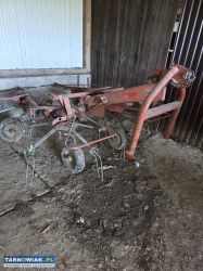 Roztrzasacz gwiazdowy Stoll - Obrazek 3