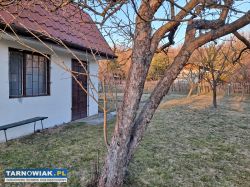 Działka ROD Tamel (Piaskówka) - Obrazek 1