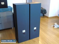 Kolumny stereo SHARP CP-7700 śliczne i mocne 250w - Obrazek 4