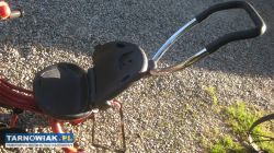 3kołowy rowerek dziecinny - Obrazek 3