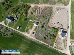 łł 1529 - ii - Obrazek 2