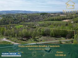 Duża widokowa działka z lasem Ryglice/Zalasowa - Obrazek 1