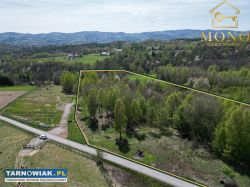 Duża widokowa działka z lasem Ryglice/Zalasowa - Obrazek 4
