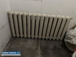 Kaloryfer żeliwny - Obrazek 1