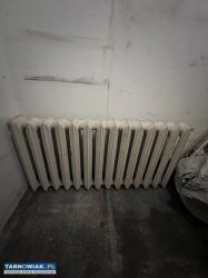Kaloryfer żeliwny - Obrazek 2