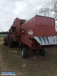Sprzedam bizon - Obrazek 2