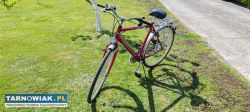 Rower Arkus Delta Vintage - Obrazek 2