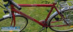 Rower Arkus Delta Vintage - Obrazek 3