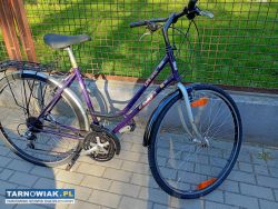 Sprzedam Rower KTM 28cali - Obrazek 1