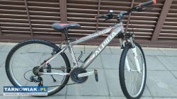 Rower 26 Kellys Alpina alu rama 16 cali sprawny - Obrazek 1