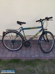 Rower - Obrazek 2