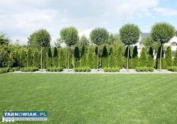 Zakładanie ogrodów - Obrazek 1