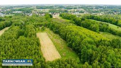 3 działki rolne na sprzedaż | Skrzyszów | 1,56 ha - Obrazek 2