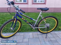 Rower górski - Obrazek 2