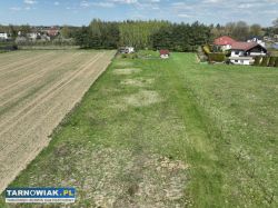 Działka w Bogumiłowicach z warunkami zabudowy - Obrazek 2