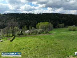 Atrakcyjna działka budowlana Tuchów, ul. Leśna - Obrazek 3