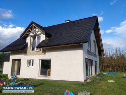 Zlecę wykonanie elewacji i obejścia Wola Rzędzińsk - Obrazek 2