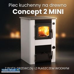 Piec Kuchenny Concept 2 Mini 21 kW - Obrazek 1