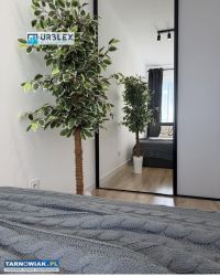 Mieszkanie na wynajem - Obrazek 4