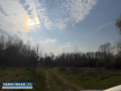 Działka inwestycyjna 83 ary – Ładna /Pogórska Wola - Obrazek 1