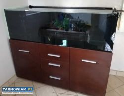 Akwarium z wyposażeniem 550L - Okazja! - Obrazek 3
