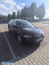 Audi a3 8p 1.9tdi - Obrazek 1
