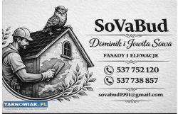 Profesjonalne elewacje i docieplenia - Obrazek 1