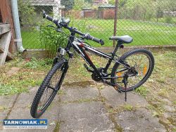 Rower raven fokus 24 cale aluminiowy xs rookie 1.0 - Obrazek 1