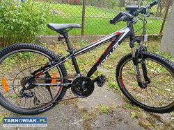 Rower raven fokus 24 cale aluminiowy xs rookie 1.0 - Obrazek 3