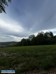 Działka 30ar Pleśna - Obrazek 3