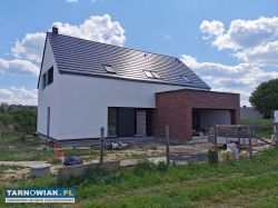 Elewacje docieplanie budynków wolny termin - Obrazek 3