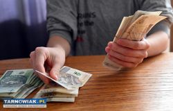 Kredyt inwestycyjny na finansowanie projektów roln - Obrazek 1