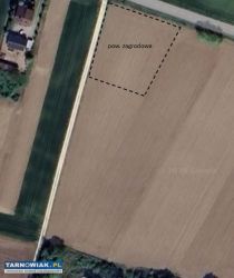 Działka rolno-zagrodowa przy drodze głównej. - Obrazek 2