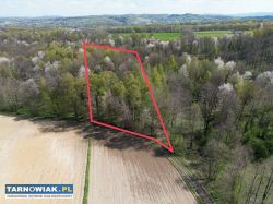 Twój prywatny las blisko Tarnowa - Obrazek 4