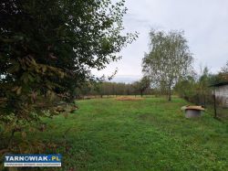 Wierzchsławice dom + 58 arów - Obrazek 3