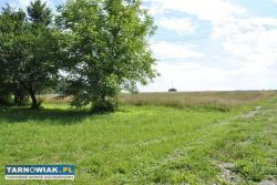 Szerzyny - dom + 1.83 ha - Obrazek 4