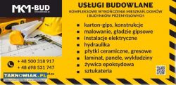 Remonty, wykończenia domów, mieszkań - Obrazek 1