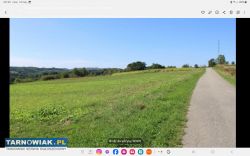 Działka Buchcice - Obrazek 1