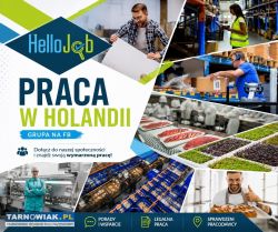 Praca logistyka, produkcja, kwiaty Holandia - Obrazek 1